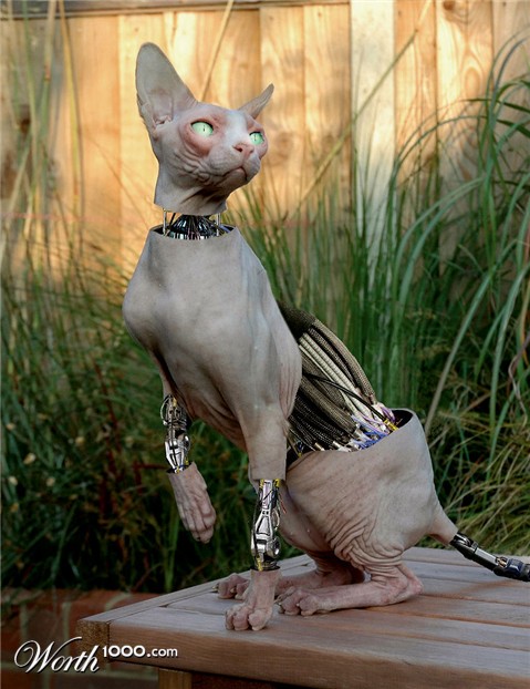 Photoshop Design by Mandrak