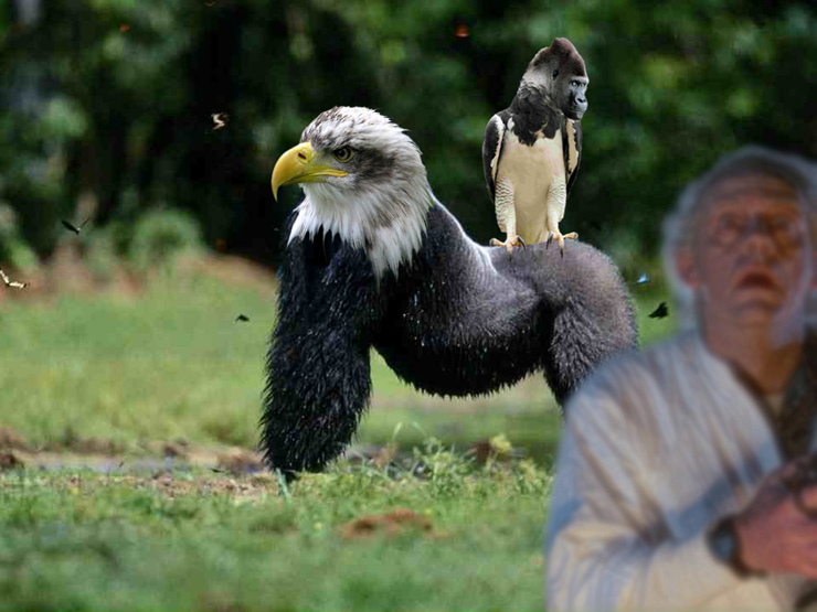 Photoshop Design by dot001 for DesignCrowd (Community Contests) | Design #8953812