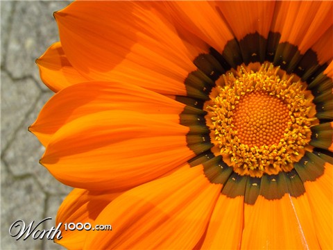 Photography by Sabour