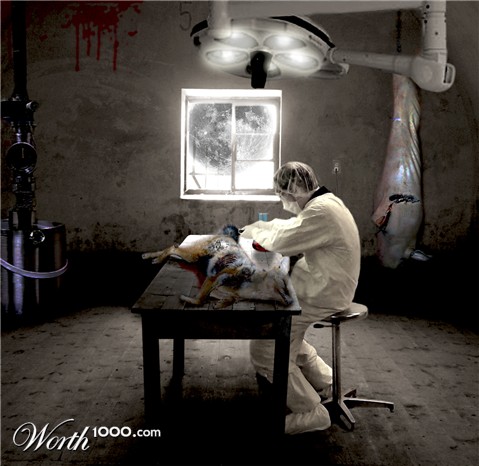 Photoshop Design by majkie