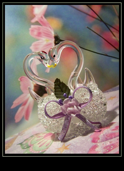 Photography by JoneSyMouSeY for DesignCrowd (Community Contests) | Design #8948205