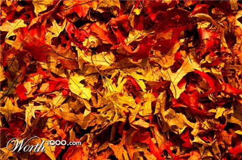 Photography by FRWalters