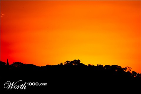 Photography by JuzzyDee