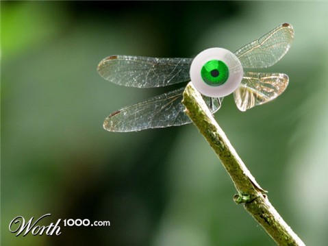 Photoshop Design by Blackjag