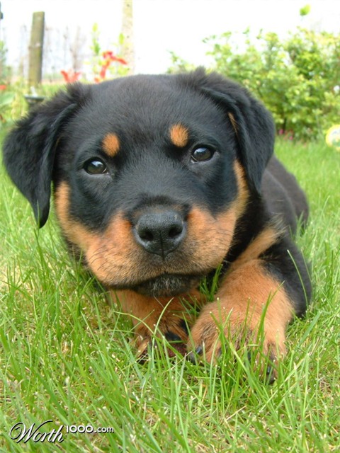 Photography by LucasService