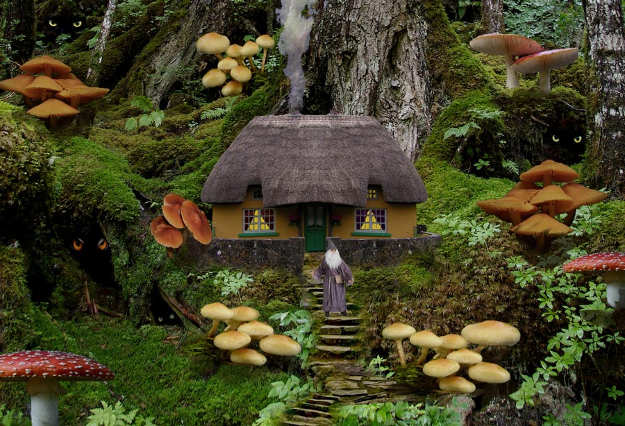 Photoshop Design by snakebit for DesignCrowd (Community Contests) | Design #8948597