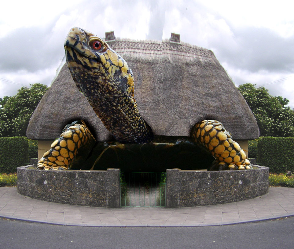 Photoshop Design by downknew for DesignCrowd (Community Contests) | Design #8948625