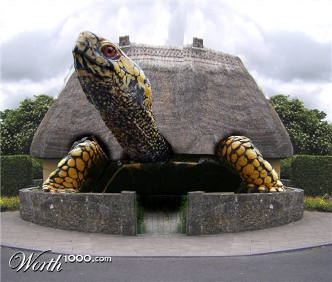 Photoshop Design by downknew