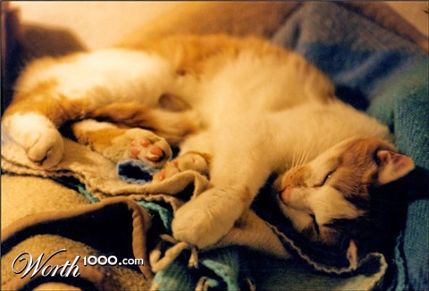 Photography by marcopolo23