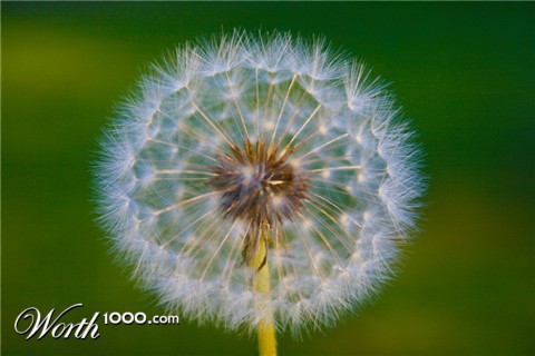 Photography by ama168