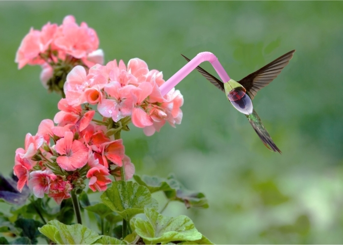 Photoshop-Design von zippy45 für DesignCrowd (Community Contests) | Design #8945696