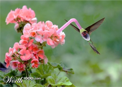 Photoshop Design by zippy45