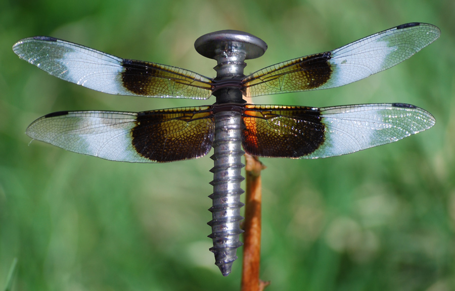 Design Photoshop par GeshaR pour DesignCrowd (Community Contests) | Design #8945683