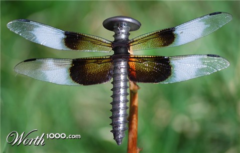 Photoshop Design by GeshaR