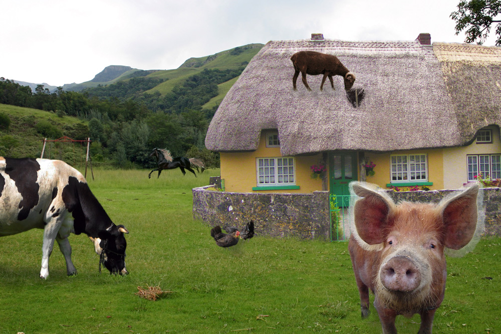 Photoshop Design by kkasscarm for DesignCrowd (Community Contests) | Design #8948712