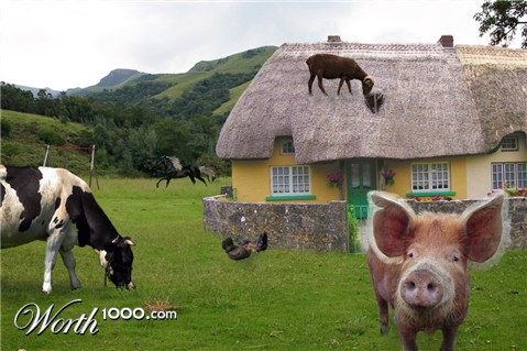 Photoshop Design by kkasscarm