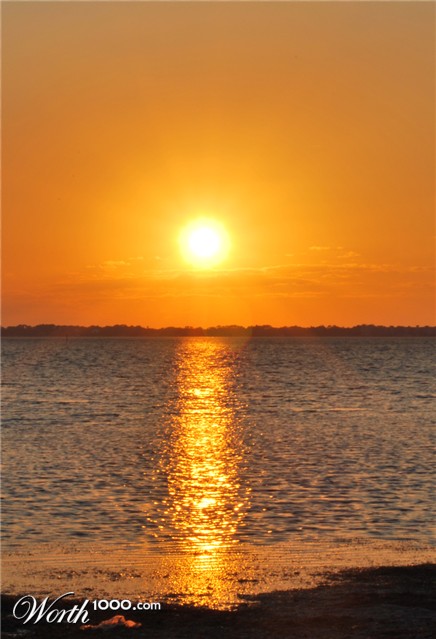 Photography by static83