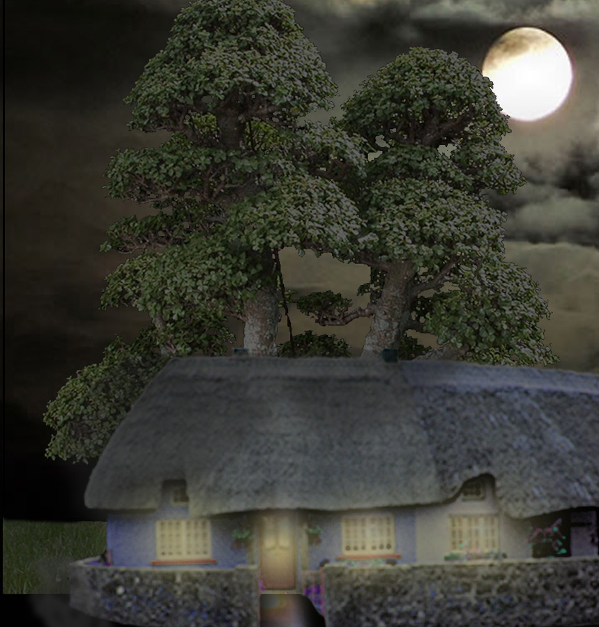 Photoshop Design by janefrog for DesignCrowd (Community Contests) | Design #8948693