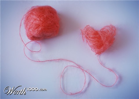 Photography by mrJACQUELYN