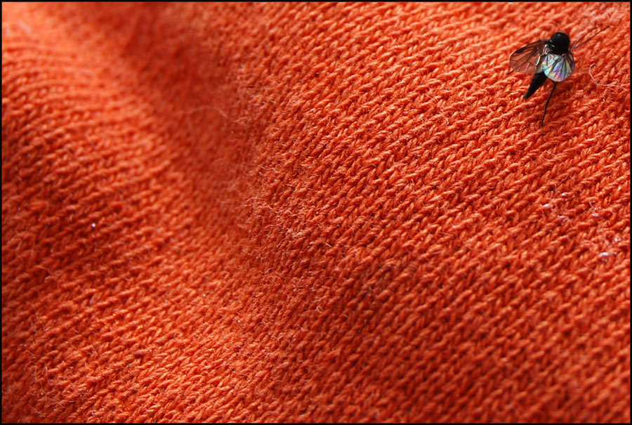 Fotografie von Tiffa130 für DesignCrowd (Community Contests) | Design #8951528