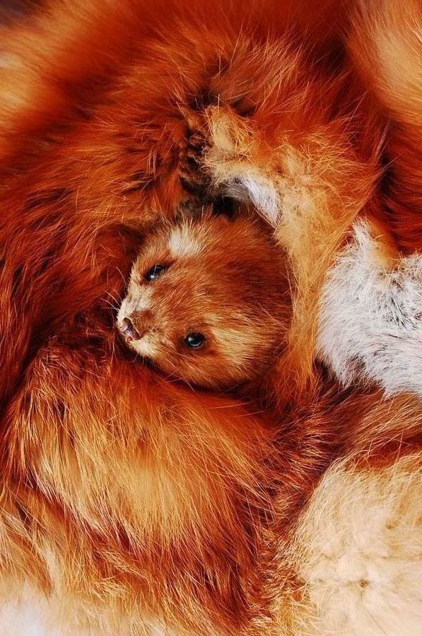 Photography by marymagdalyne for DesignCrowd (Community Contests) | Design #8946999