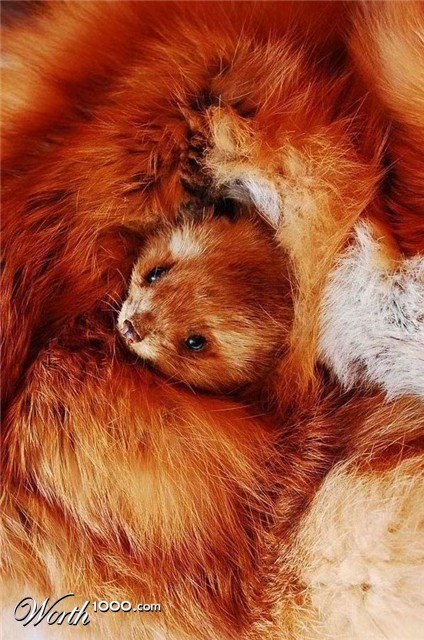 Photography by marymagdalyne