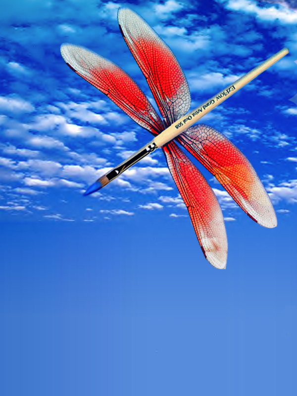 Photoshop Design by FireOfTheDoom for DesignCrowd (Community Contests) | Design #8945756