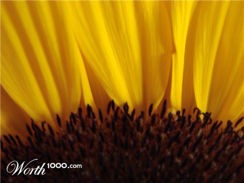 Photography by XxafroxX