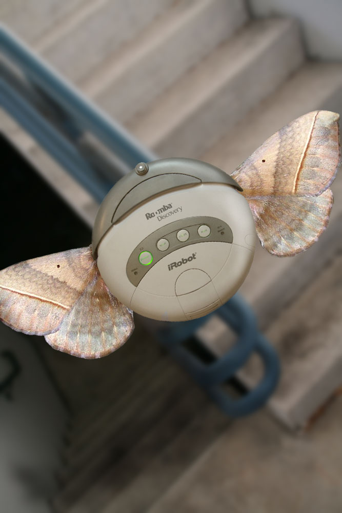 Photoshop Design by willibarb for DesignCrowd (Community Contests) | Design #8945784