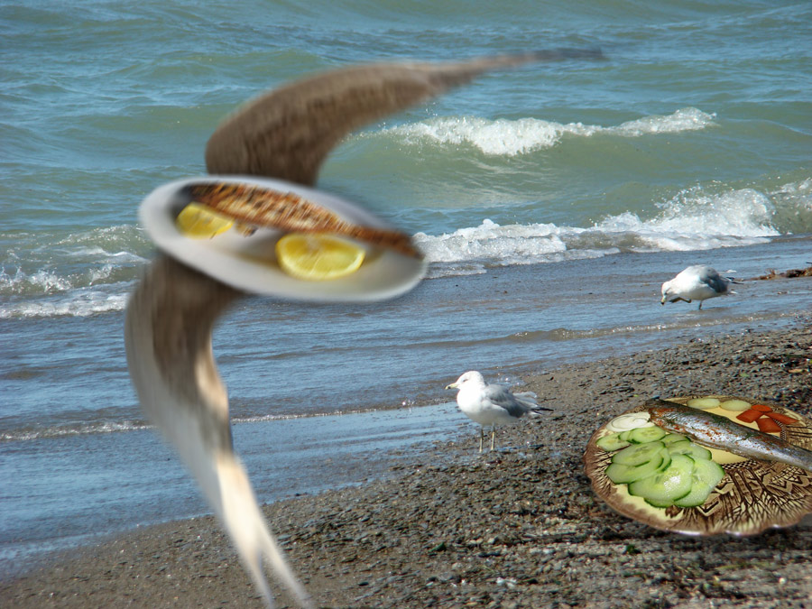 Photoshop Design by janefrog for DesignCrowd (Community Contests) | Design #8945789