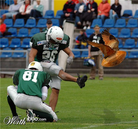 Photoshop Design by snakebit