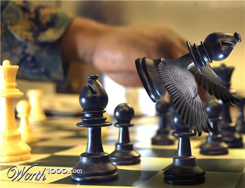 Photoshop Design by PixelTestMT