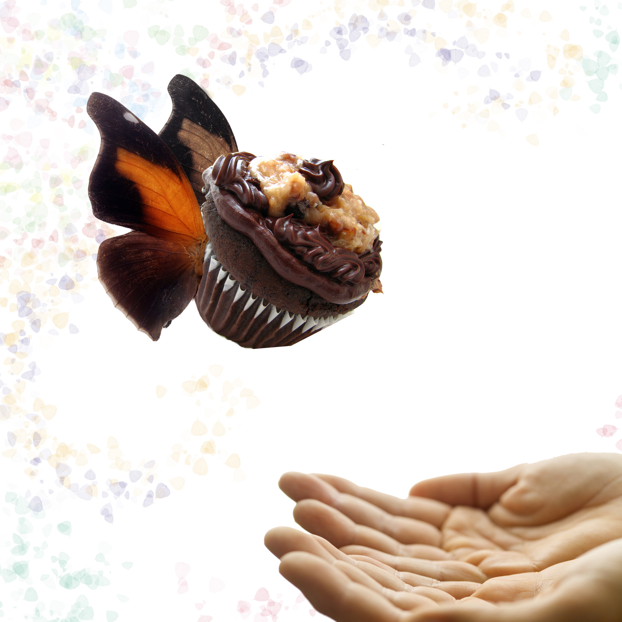 Design Photoshop par tropicalbear pour DesignCrowd (Community Contests) | Design #8945956