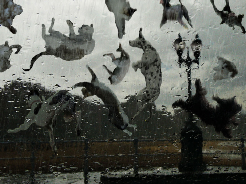 Photoshop Design by castiza for DesignCrowd (Community Contests) | Design #8952882