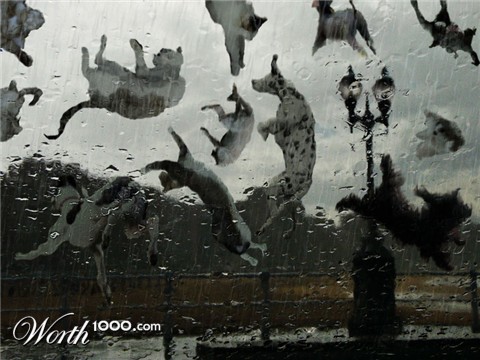 Photoshop Design by castiza