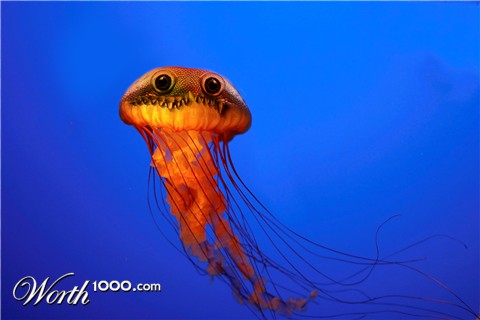 Photoshop Design by mesoworthy