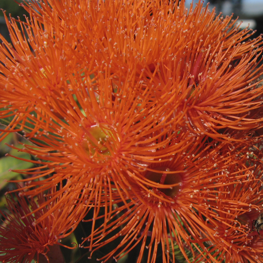 Photographie par Swish1940 pour DesignCrowd (Community Contests) | Design #8951534