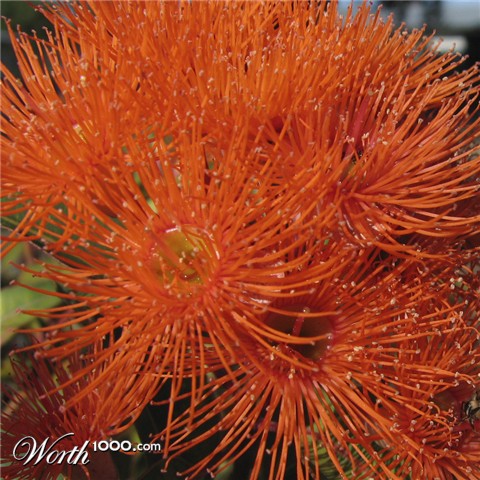 Photography by Swish1940