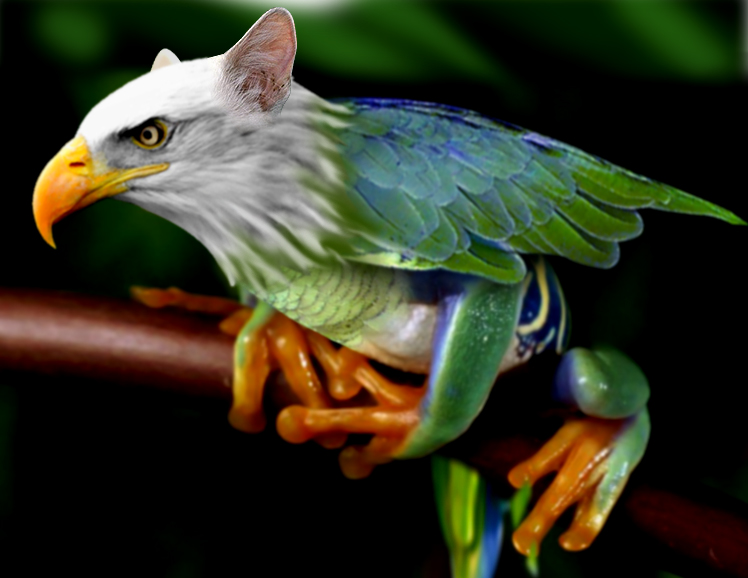 Photoshop Design by mukesingh for DesignCrowd (Community Contests) | Design #8949667