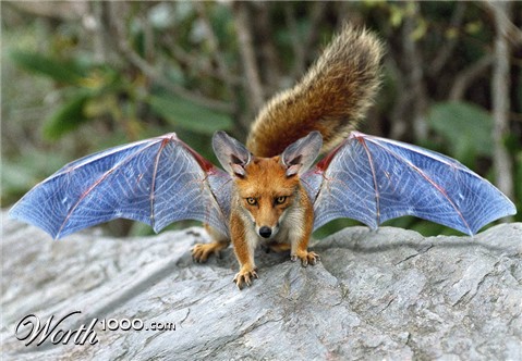 Photoshop Design by manoluk