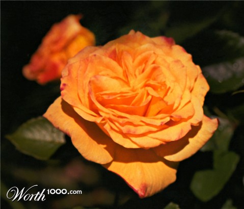 Photography by marcopolo23