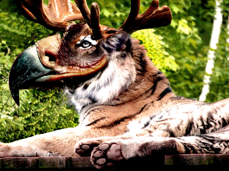 Diseño de Photoshop por MacielBR para DesignCrowd (Community Contests) | Diseño #8949676