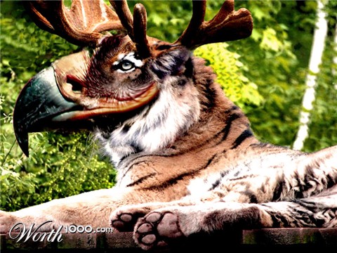 Photoshop Design by MacielBR