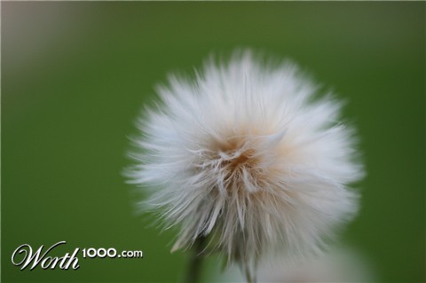 Photography by rassek