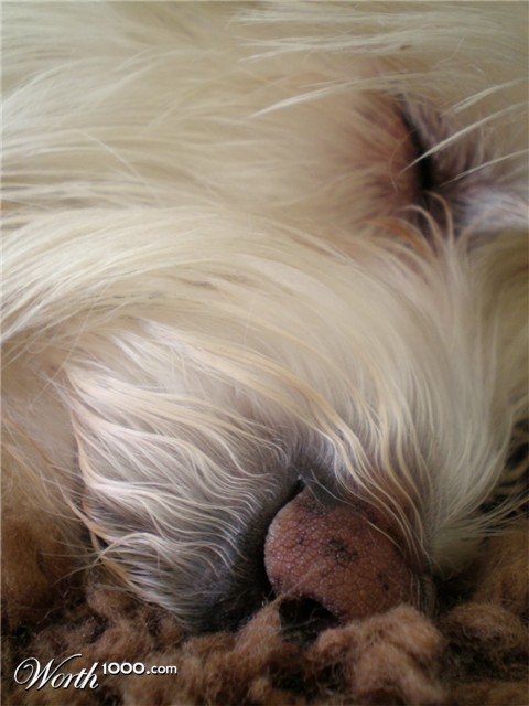 Photography by ikbenheelerglief