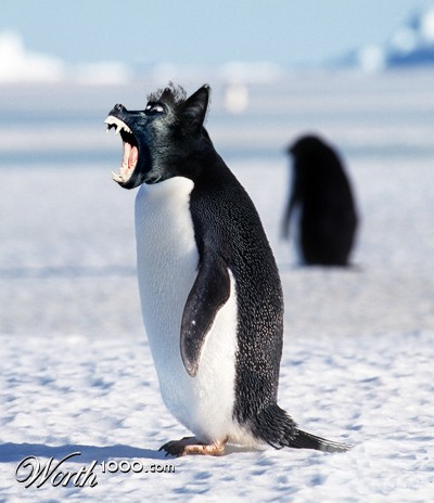 Photoshop Design by Ambulocetus