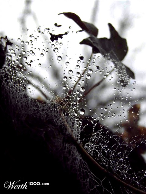 Photography by downknew