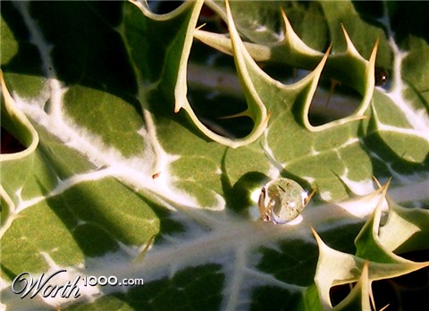 Photography by siddheshsg