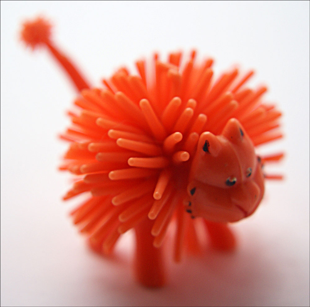 Photographie par JANIELLE pour DesignCrowd (Community Contests) | Design #8951585