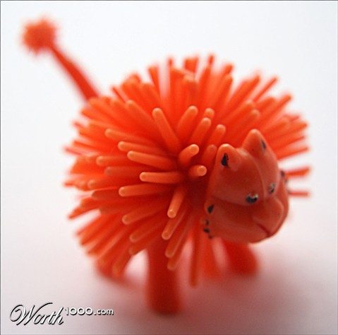 Photography by JANIELLE